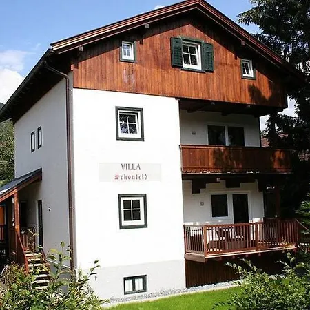 Schonfeld *